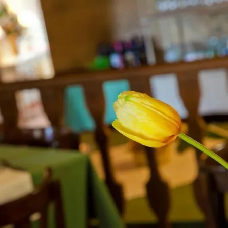 酒店 托雷布兰卡旅馆 A Torre Branca