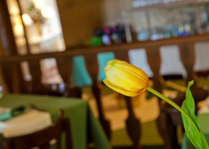 Ξενοδοχείο A Casa Da Torre Branca A Torre Branca