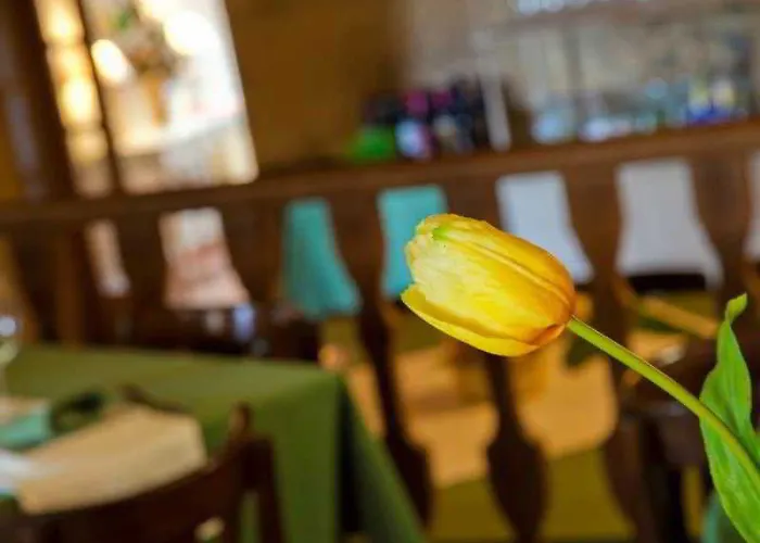 A Casa Da Torre Branca 3* A Torre Branca